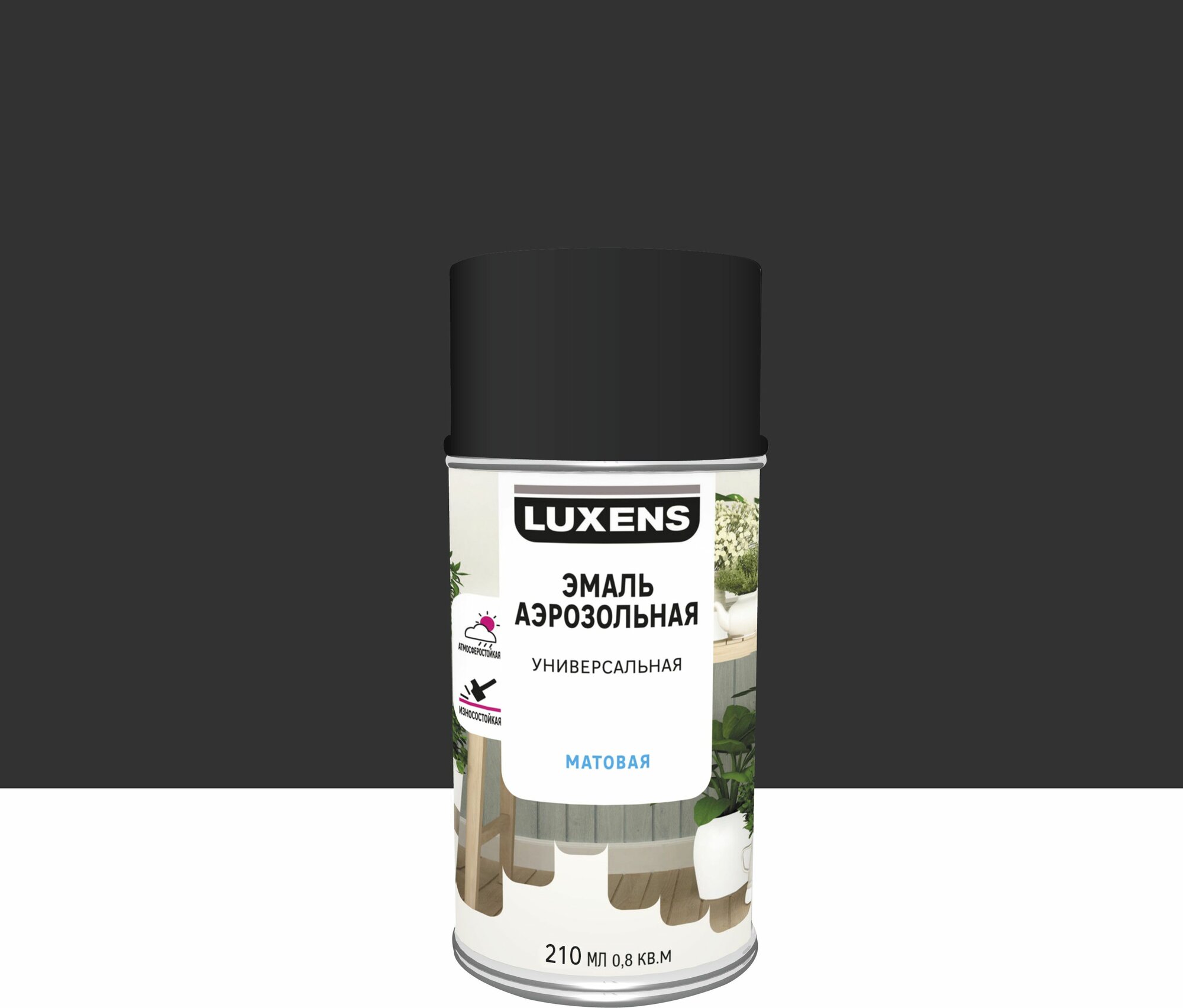 Эмаль аэрозольная декоративная Luxens матовая цвет черный 210 мл