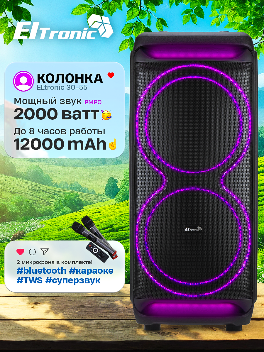 Колонка с функцией караоке ElTRONIC 30-55 CRAZY BOX 2000, 2 динамика, Bluetooth, FM-радио с TWS