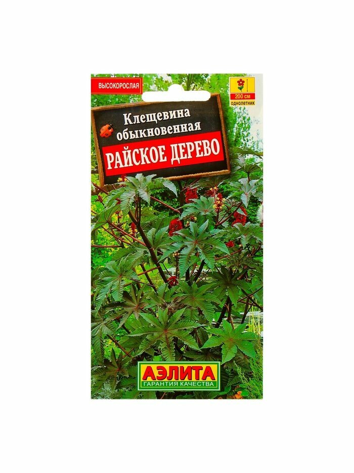 Набор семян Клещевина 