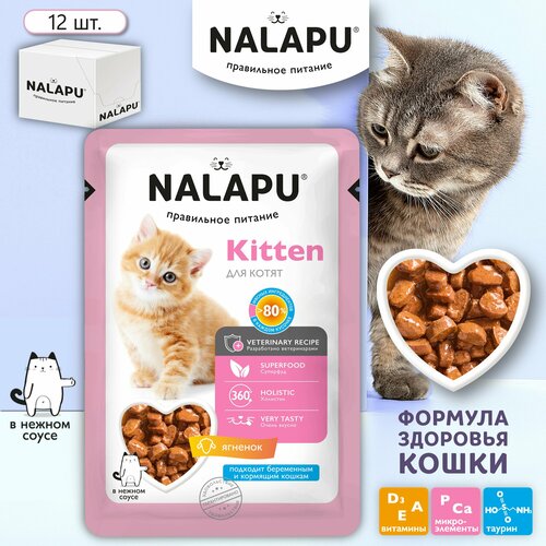Корм для котят влажный NALAPU Kitten полнорационный консервированный корм для котят, сочные кусочки с ягненком в нежном соусе,12шт. по 77г