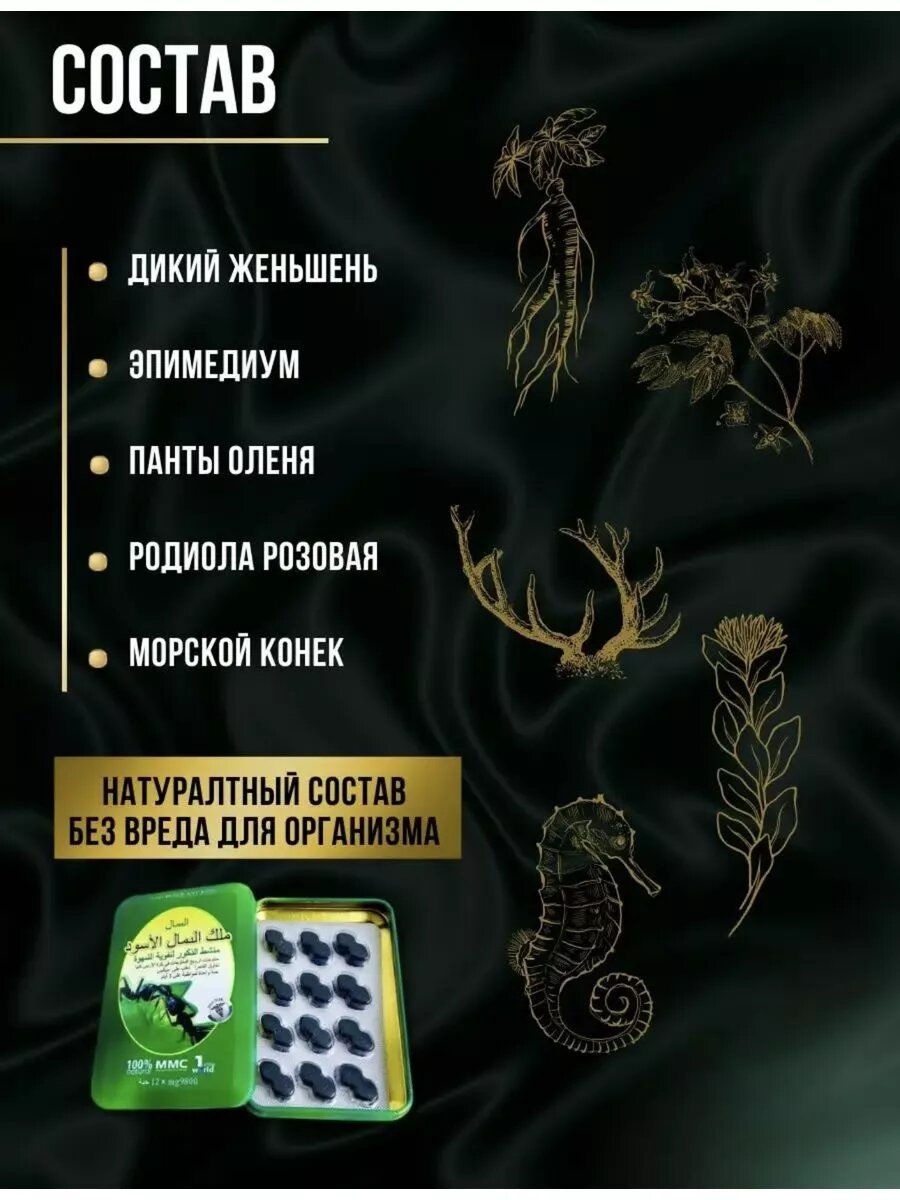 Картинки Черный королевский муравей