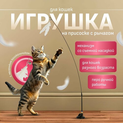 Игрушка для кошек, интерактивная удочка-уловка, дразнилка для кошки, на присоске с пером