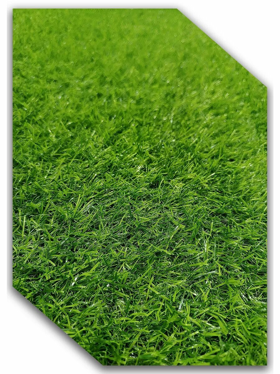 Искусственный газон_25 на 45(ворс 20 миллиметров)