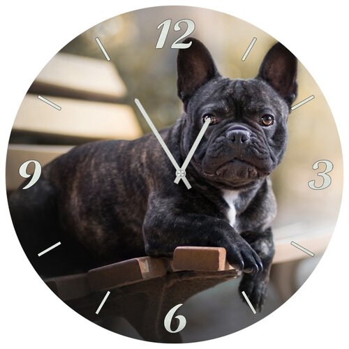 фото Настенные часы svs 4001861