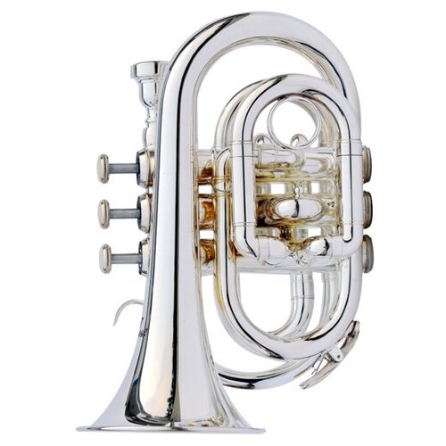 Pocket trumpet Bb Artemis RTR-5066 - Карманная труба из посеребереной латуни