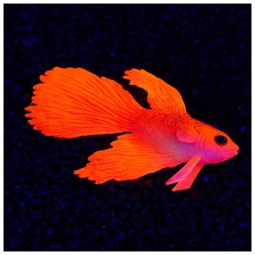 Декор для аквариума Бойцовая рыбка силиконовая, с неоновым эффектом, 8 х 1,5 х 5,2 см, кра 71088