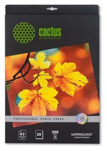 Фотобумага Cactus 20 листов A3 (29.7x42 см) Глянцевая 260 г/м2 CS-HGA326020