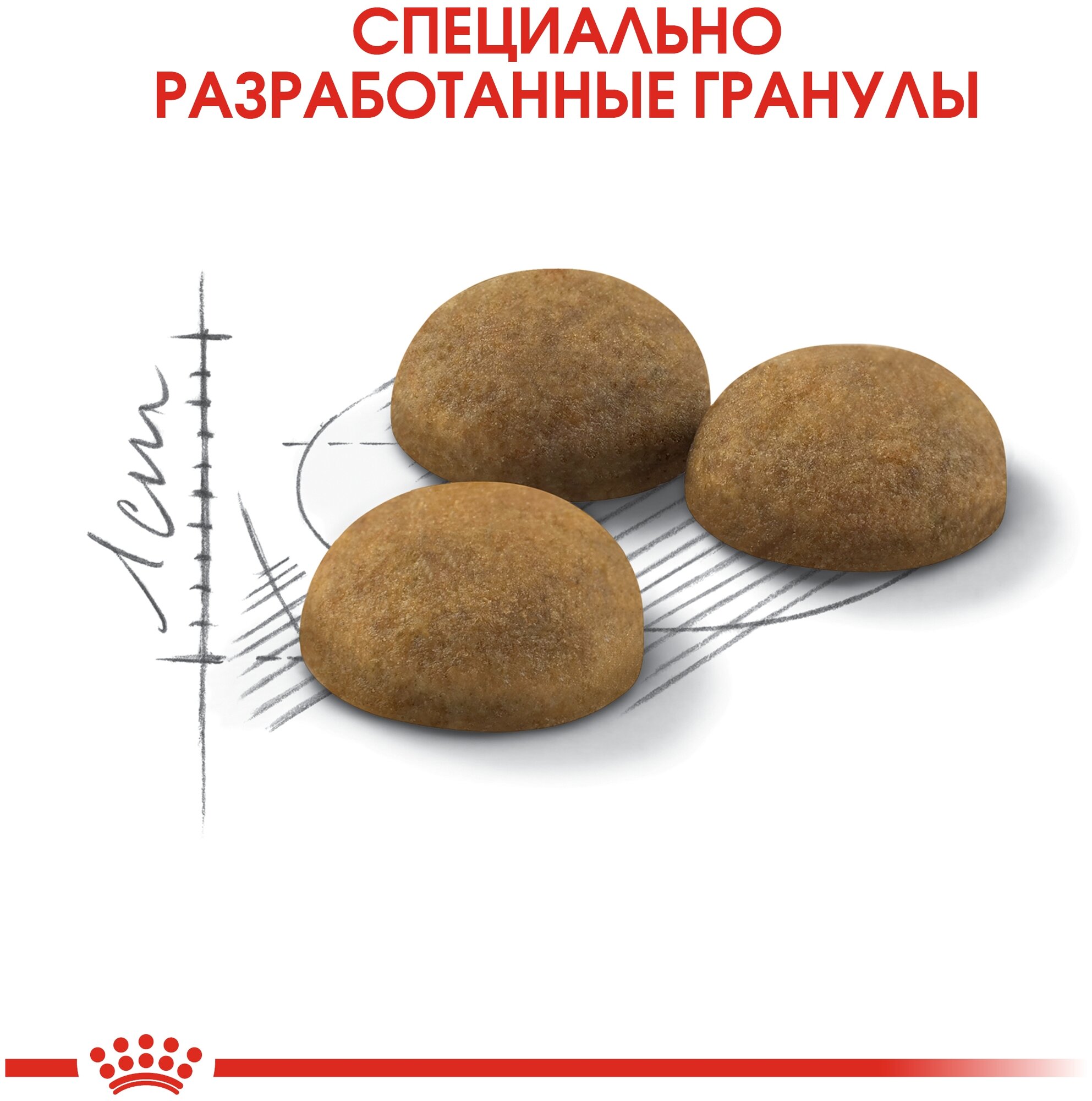 ROYAL CANIN INDOOR LONG HAIR для взрослых кошек живущих дома для вывода шерсти (2 кг) - фотография № 4