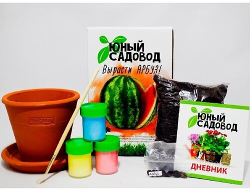 Набор для выращивания арбуза/ Юный садовод/ Вырасти арбуз/ набор для творчества/ набор для детей