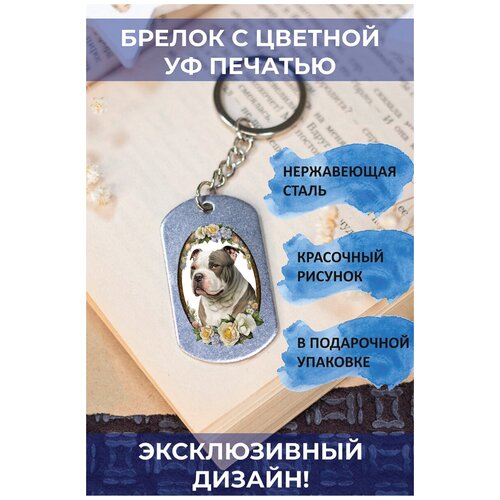 брелок с цветной с уф печатью американский булли собака 3 Брелок, глянцевая фактура, мультиколор, серебряный