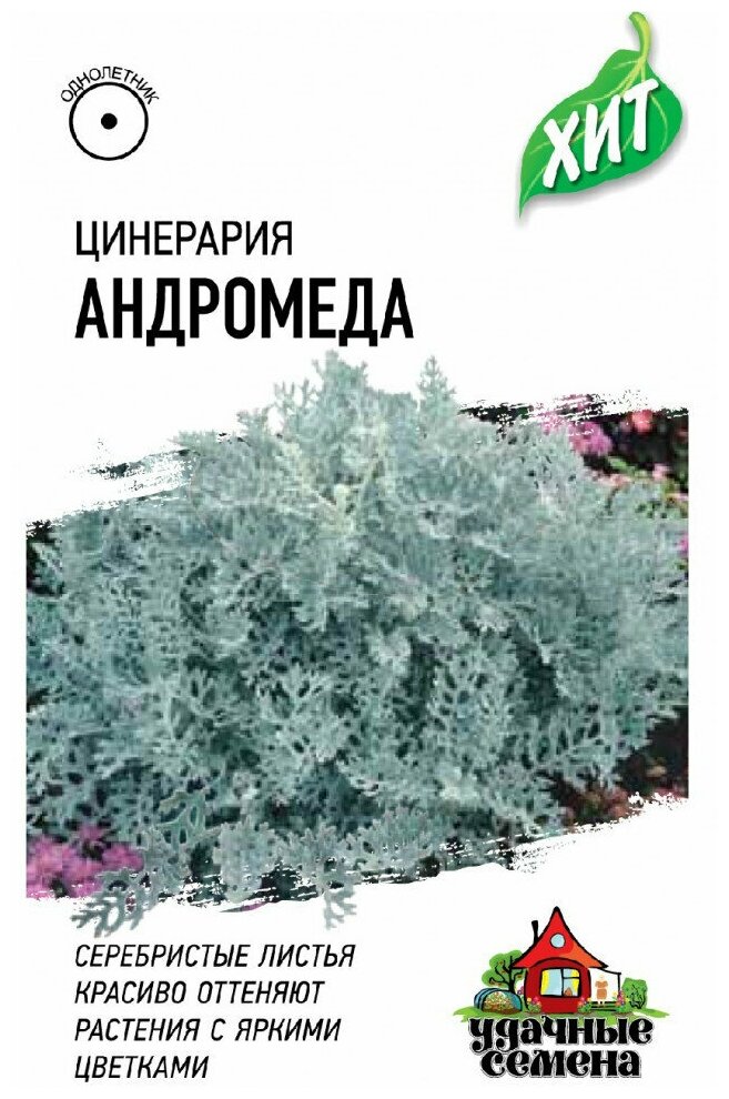 Удачные семена, Цинерария Андромеда (приморская) 0,05 грамма