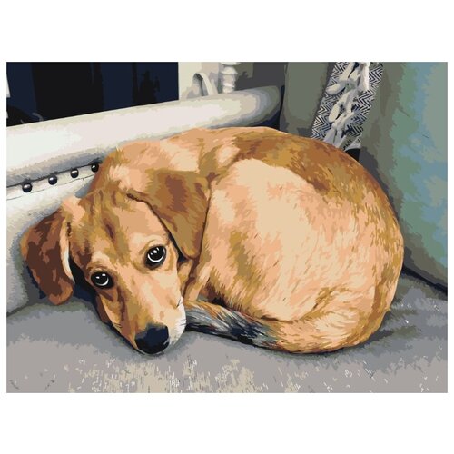 картина по номерам пес в сердечках 30x40 см Картина по номерам Грустный пес, 30x40 см