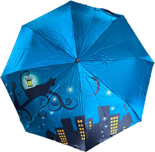 фото Коты в ночном городе 86