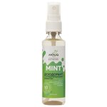 ANTILIQ Дезодорант Mint - изображение