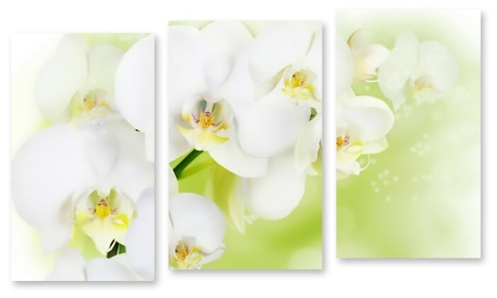 Модульная картина на холсте "Белые орхидеи" 90x55 см