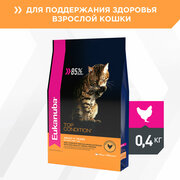 Корм для кошек Eukanuba Adult Top Condition сбалансированный сухой, 400г