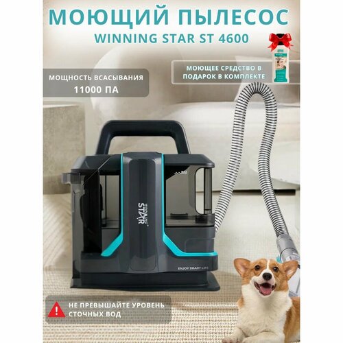 Пылесос для ковров, диванов и тканей