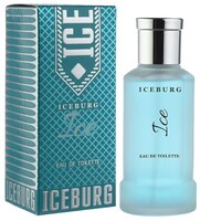 Туалетная вода Парфюмерия XXI века IceBurg Ice 85 мл