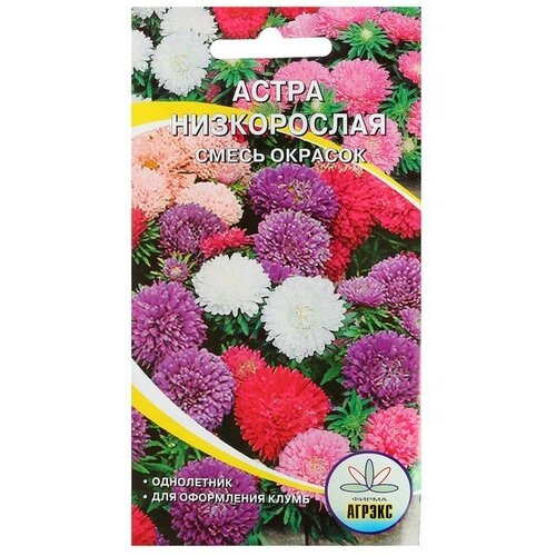 Семена цветов Астра, смесь, низкорослая, 0,2-0,25 г (1шт.)