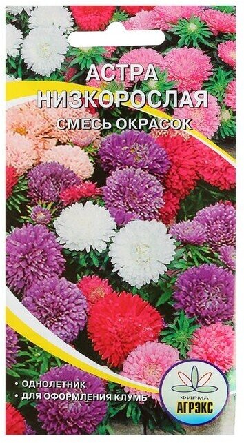 Семена цветов Астра смесь низкорослая 02-025 г