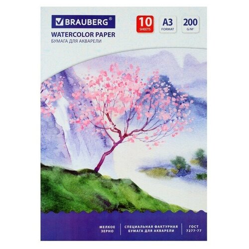 Папка для акварели А3, 297 х 420 мм, 10 листов, блок 200 г/м2 бумага по ГОСТ 7277-77 бумага для акварели а3 10 листов луч 200 г м2