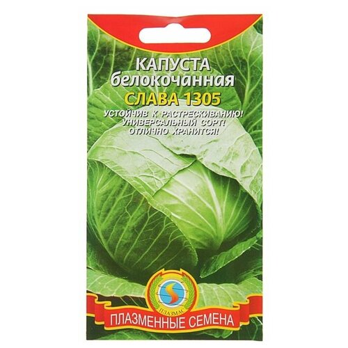 Семена Капуста б/к Слава 1305, 0,5 г семена капуста б к слава 1305 средняя 0 5г