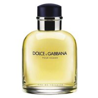 DOLCE & GABBANA туалетная вода Dolce&Gabbana pour Homme, 125 мл