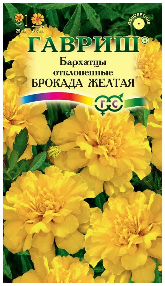 Семена Бархатцы отклоненные (тагетес) Брокада желтая 03г Гавриш Цветочная коллекция 10 упаковок