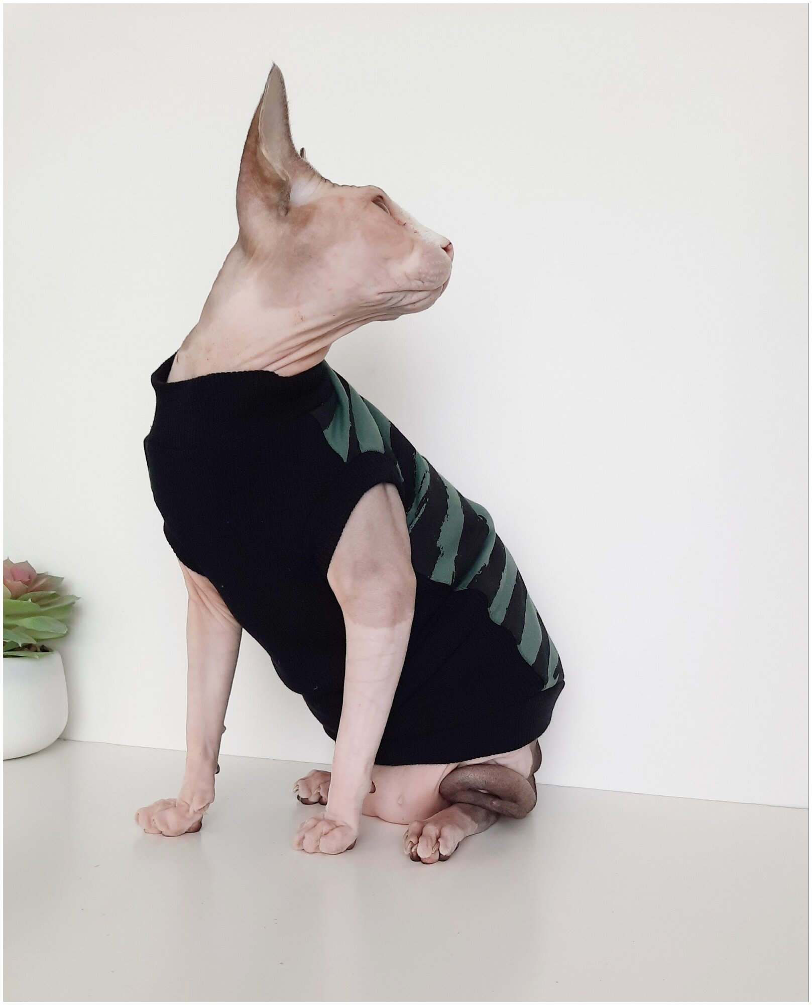Свитшот для кошек, размер 35 (длина спины 35см), цвет черно-зеленый/ толстовка свитшот свитер для кошек сфинкс / одежда для животных - фотография № 4