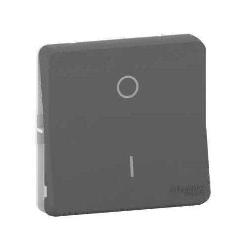 фото Переключатель 2-х полюсный schneider electric