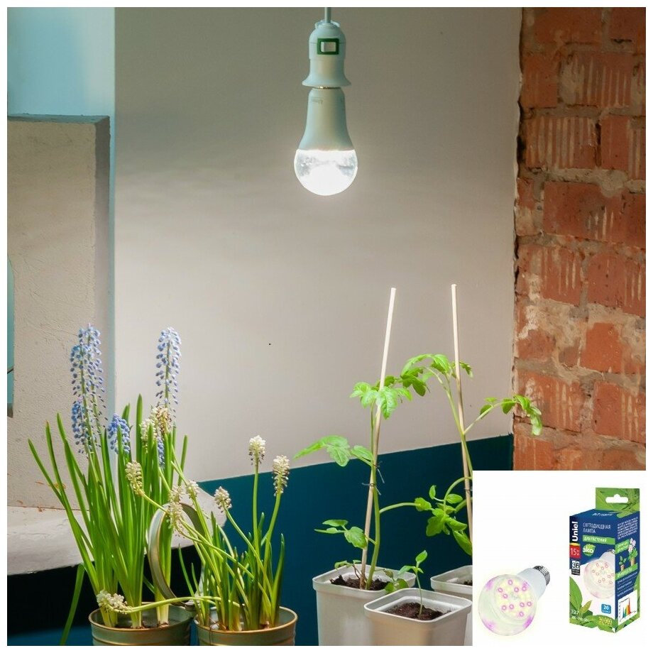 Фито лампа Uniel светодиодная для растений рассады цветов A60 E27 15W 20мкмоль/с 60x130 прозрачная LED-A60-15W/SPFB/E27/CL - фотография № 3