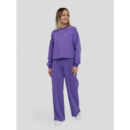 фото Костюм vitacci, толстовка и брюки, спортивный стиль, свободный силуэт, размер 46 (l), фиолетовый
