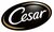 Логотип Эксперт Cesar