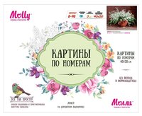 Molly артина по номерам 