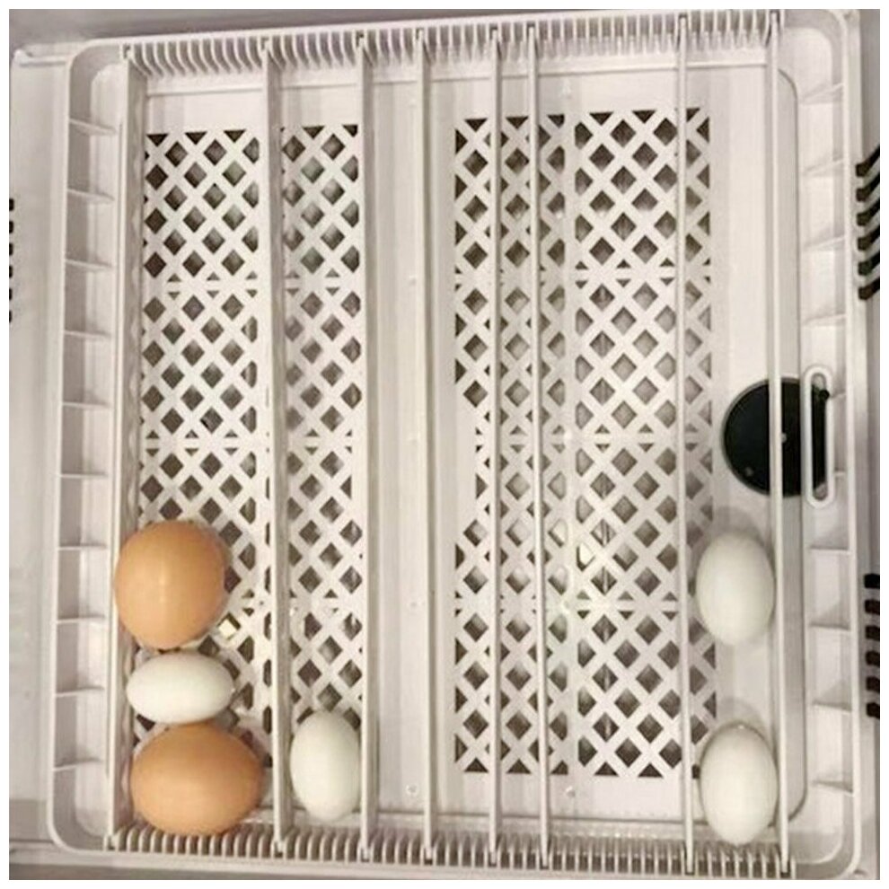 Инкубатор HHD 36 автоматический для яиц с овоскопом - фотография № 9