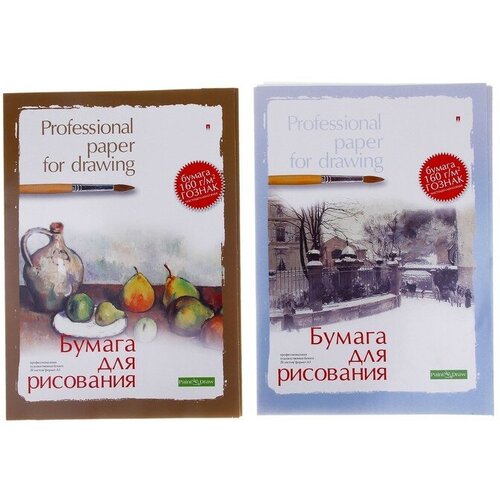 Бумага для рисования А3, 20 листов Профессиональная серия, блок 160 г/м2, гознак, микс