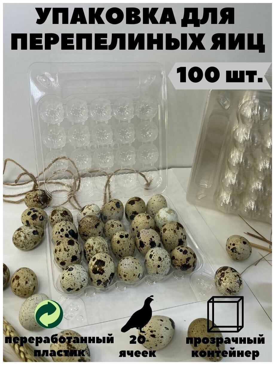 Упаковка лоток для перепелиных яиц, 20 ячеек, 100 шт/уп - фотография № 6