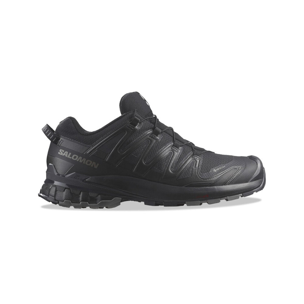 Кроссовки Salomon XA PRO 3D V9 GTX 2025 (Black / Phantom / Pewter 10,5), размер US: 10.5, черный