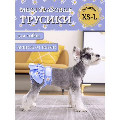 Трусы для собаки во время течки многоразовые, размер M, подгузники для собак впитывающие