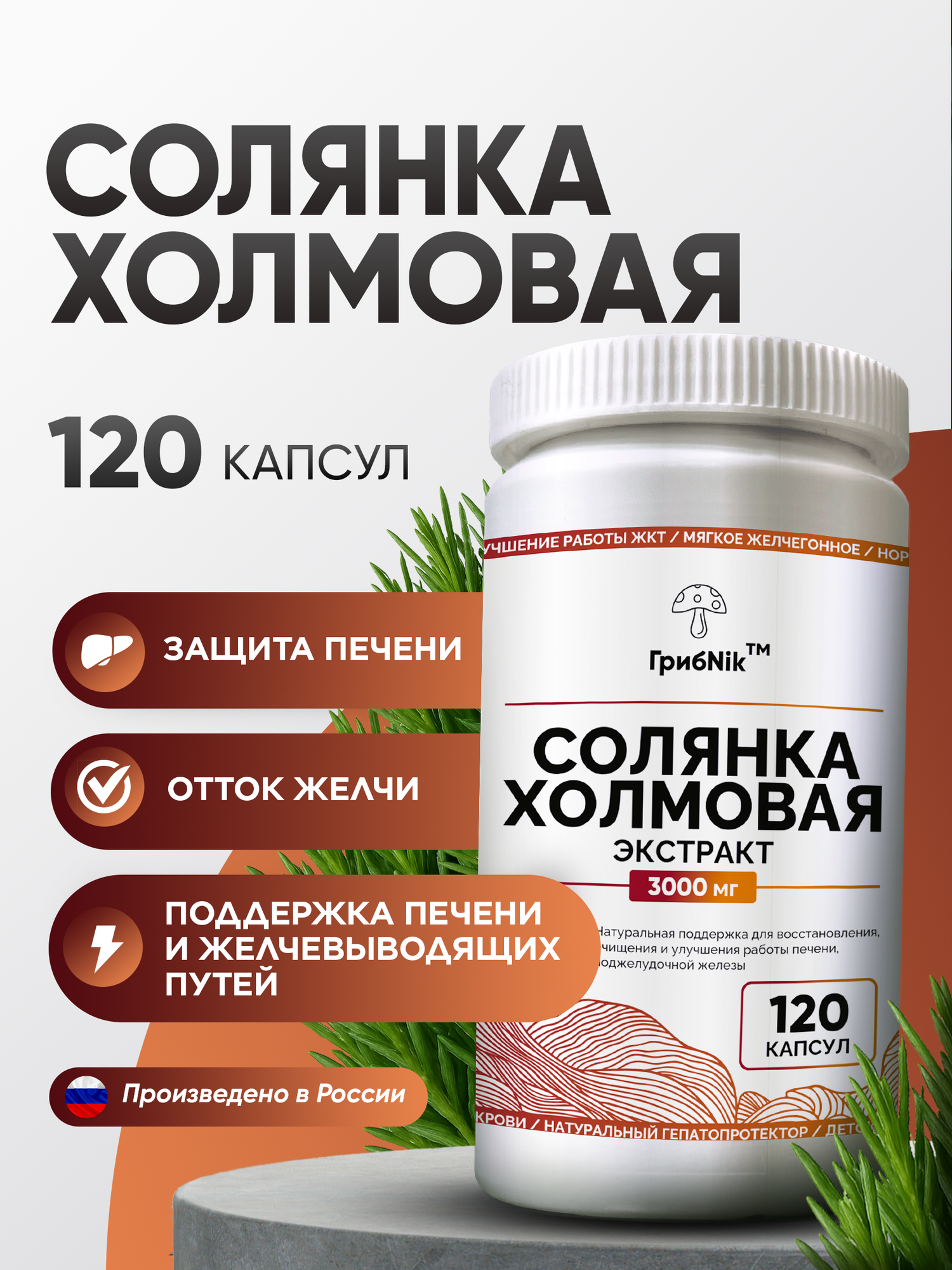 Солянка холмовая для печени и желчного пузыря 120 капсул, ГрибNik