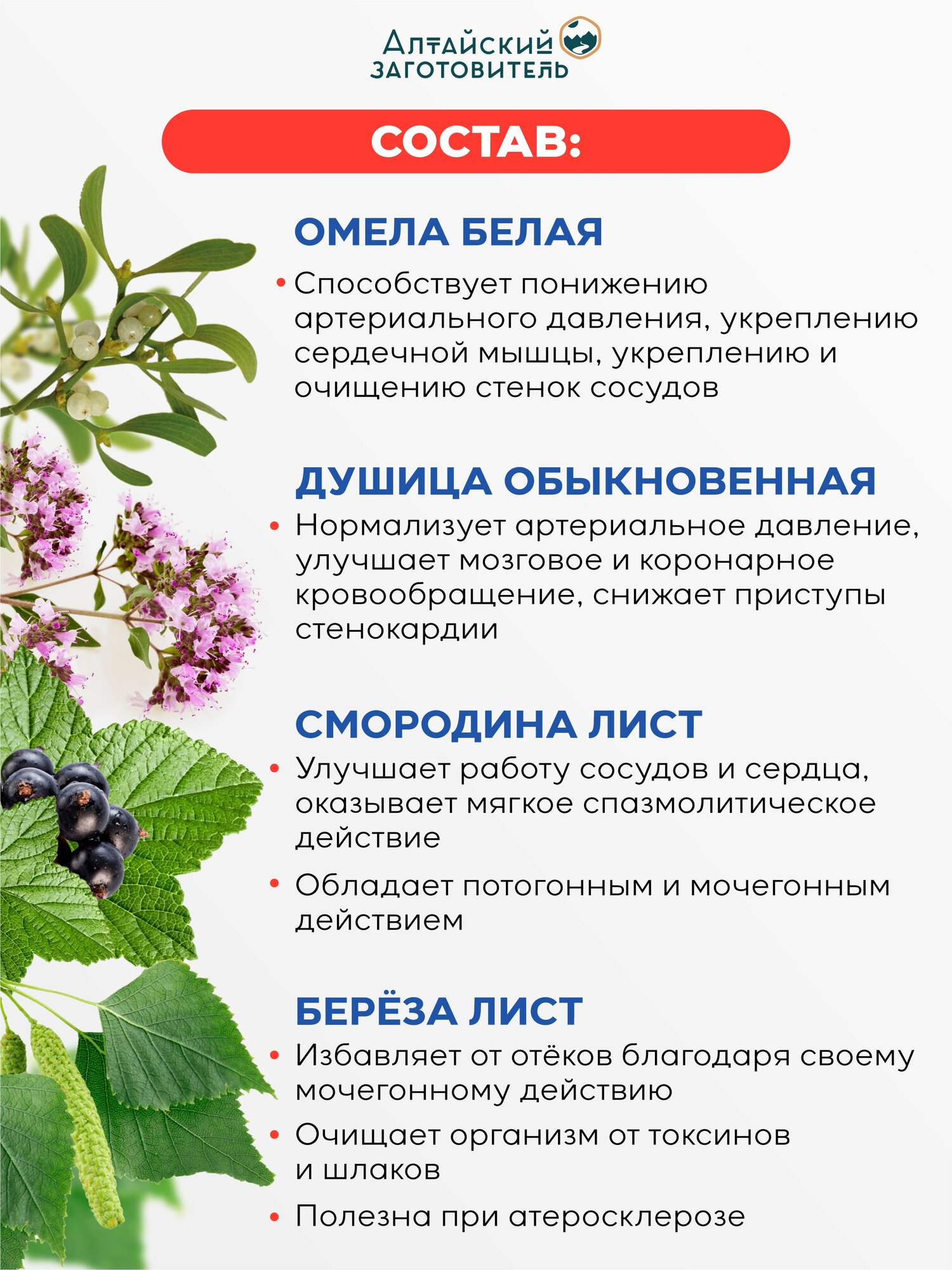Изображение Таблетки от давления при гипертонии НормАДин для сердца и сосудов - Алтайский Заготовитель