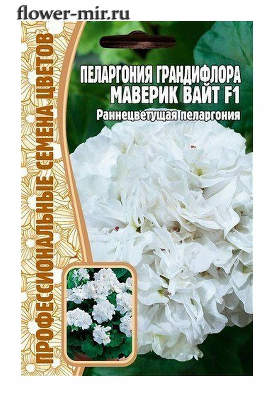 Семена редких растений. Пеларгония грандифлора Маверик Вайт F1 3шт х 1упаковка