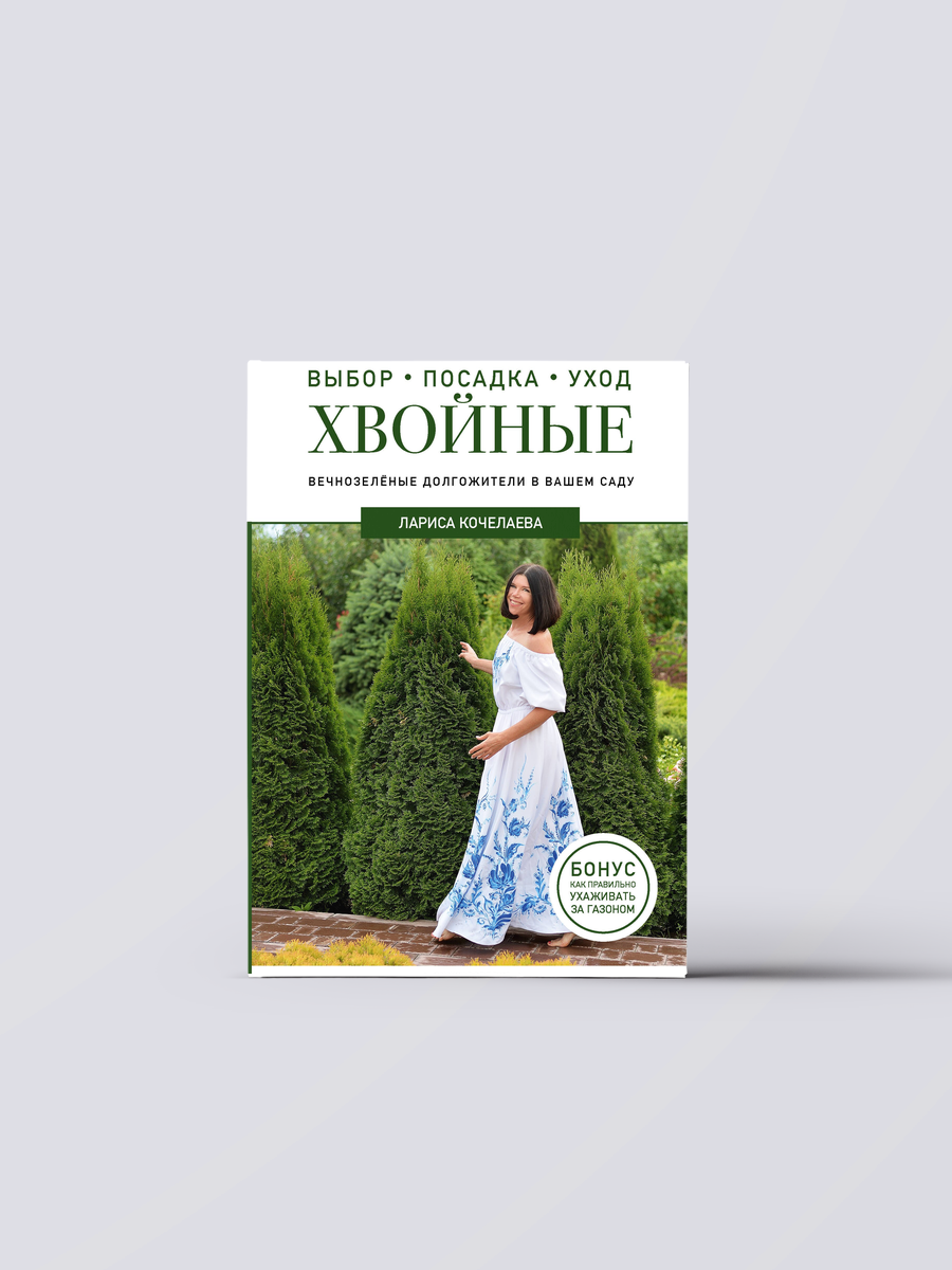 Энциклопедия хвойных растений. Вечнозелёные долгожители в вашем саду | Лариса Кочелаева