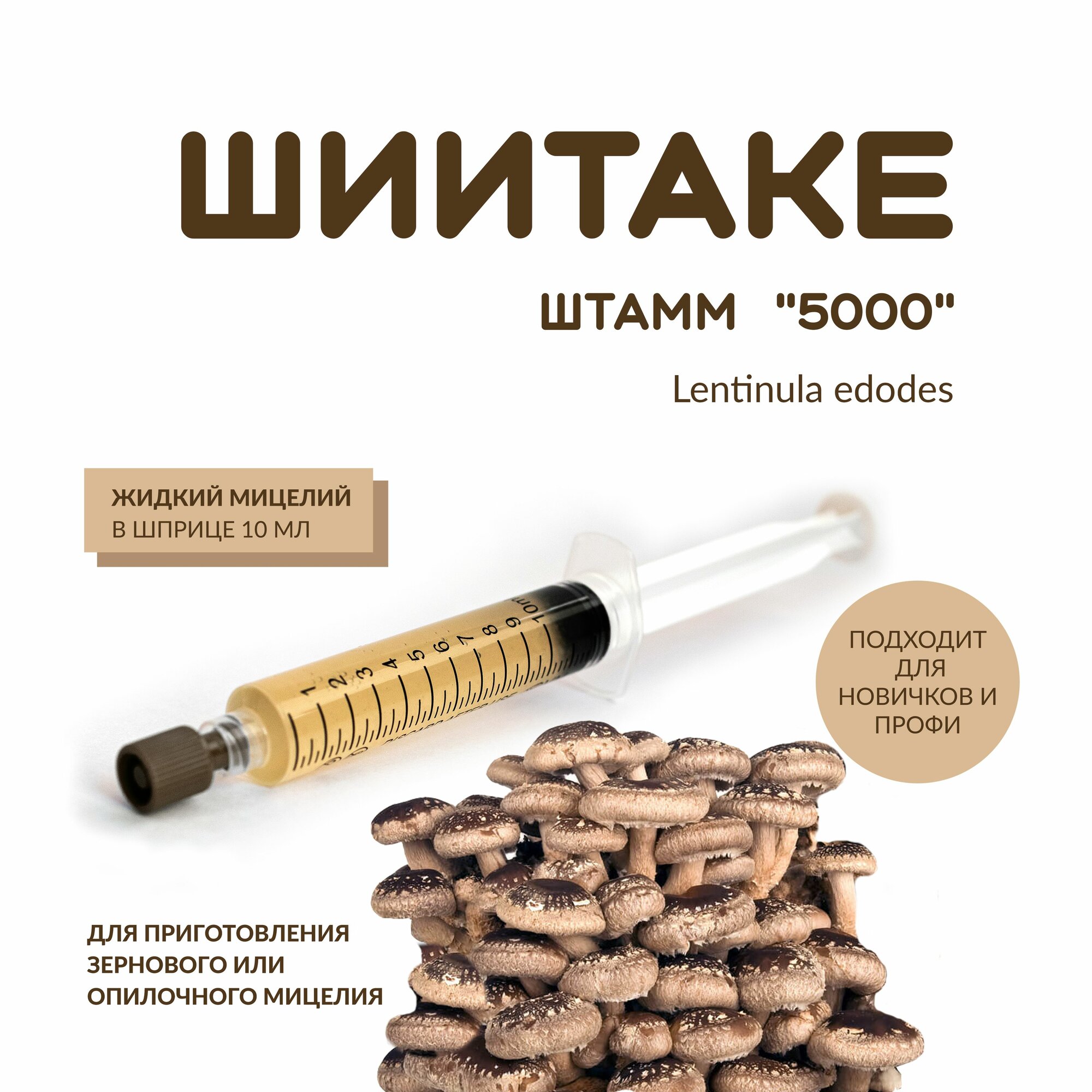 Жидкий мицелий шиитаке штамм 