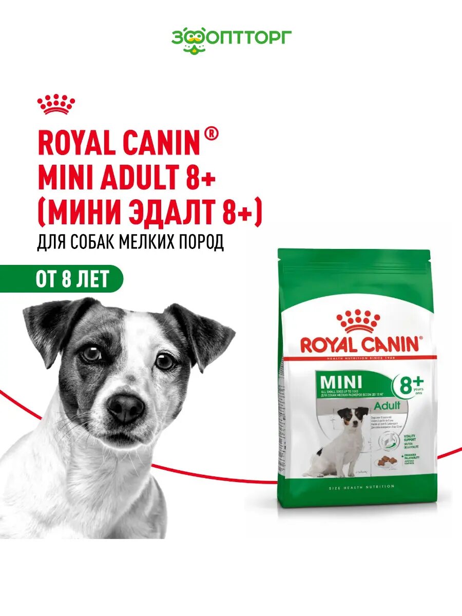 Сухой корм Royal Canin Mini Adult 8+ для собак старше 8 лет мелких пород Птица, 4 кг.