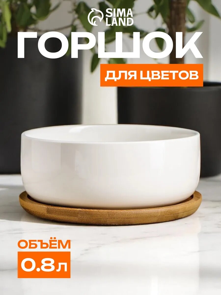 Горшок "Эко Бонсай" для кактусов и суккулентов, круг, 17х7см, белый