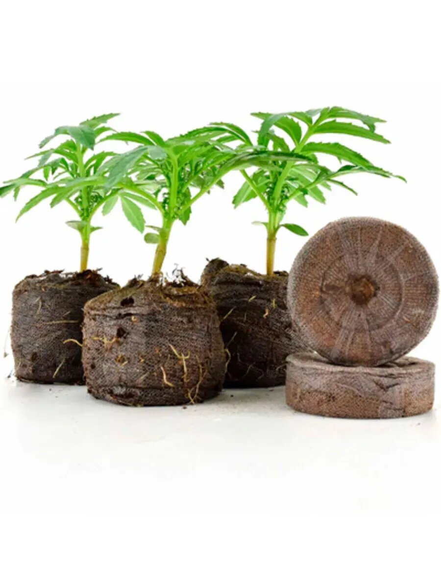 Комплект Таблетки торфяные 36мм 50шт*2 пакета () ТУТ БИО