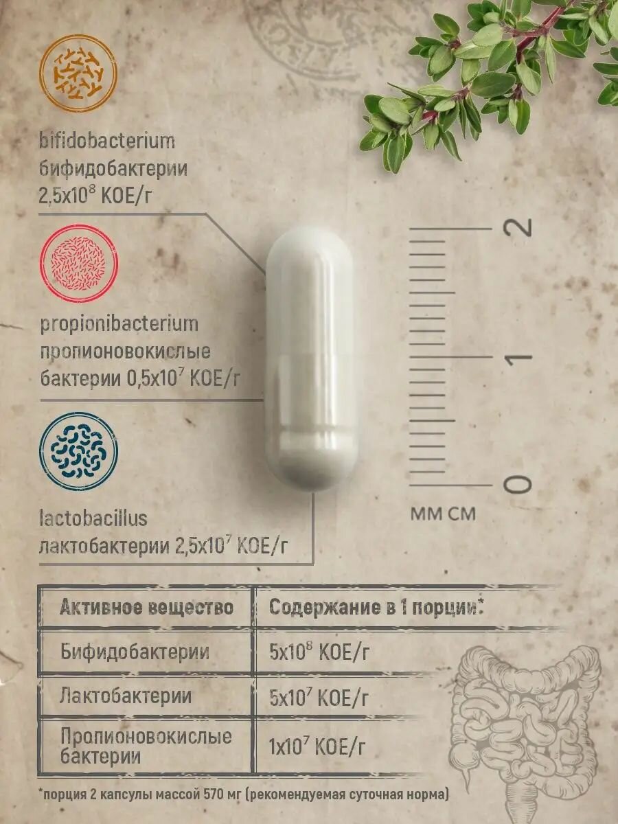 Бад Для Пищеварения MedCraft Пробиотики и пребиотики для взрослых, БАД для кишечника, 60 капсул