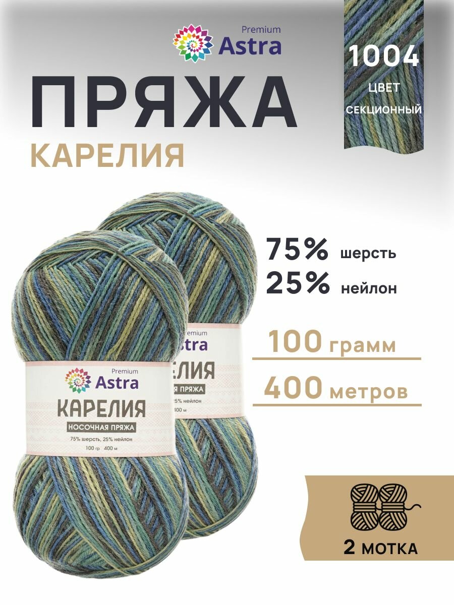 Пряжа для вязания Astra Premium 'Карелия' носочная, 100г, 400м (75% шерсть, 25% нейлон) (1004), 2 мотка