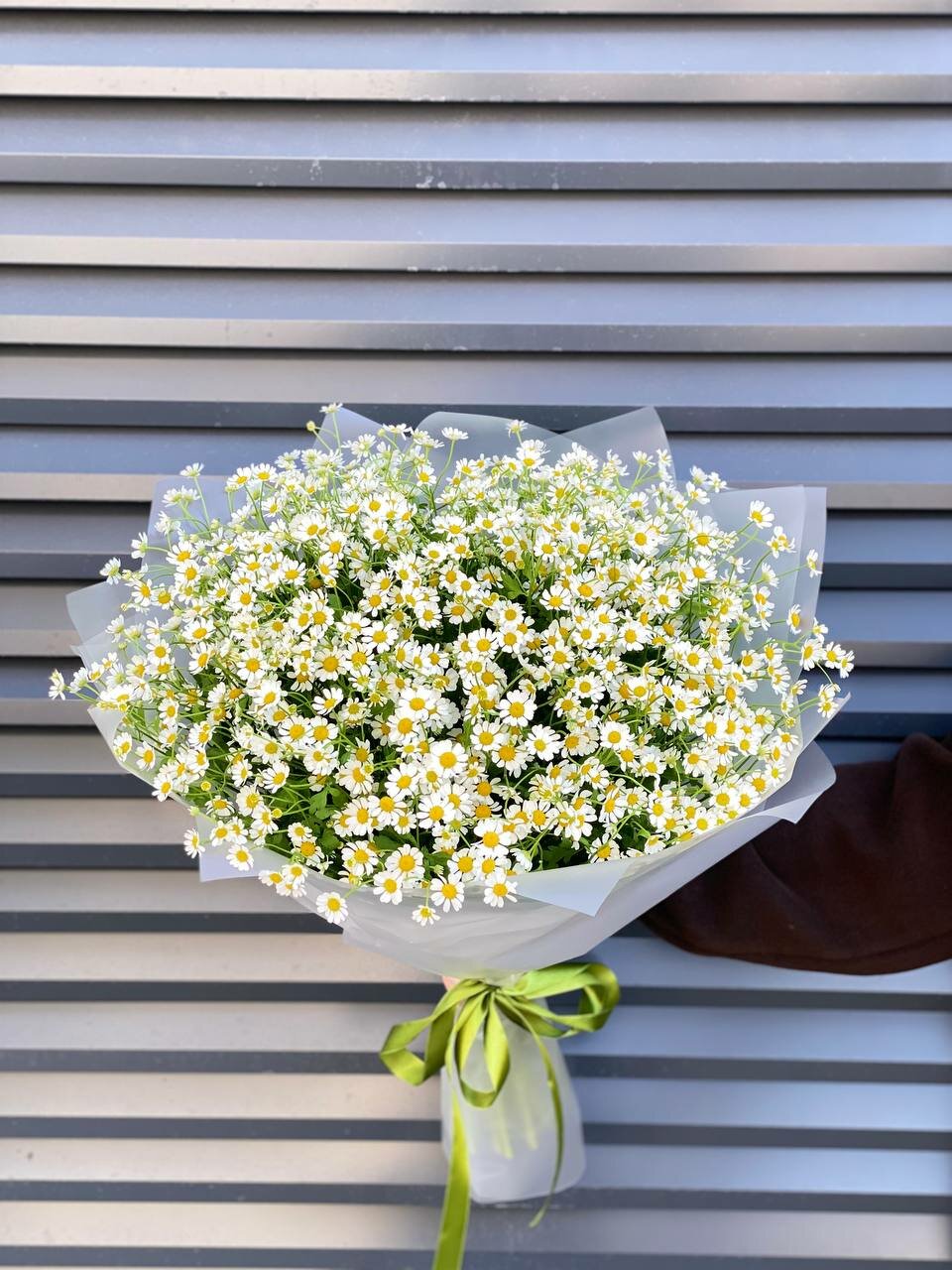 Букет wowflo "Ромашки Камилла", кустовые ромашки, высота 50см, 51 цветок, белый — фото 1